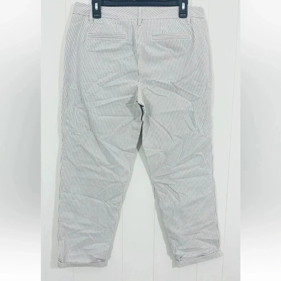 Talbots Relaxed Chino Ankle Length Blue/White stripped pants Sz 8 Petite - Picture 5 of 8